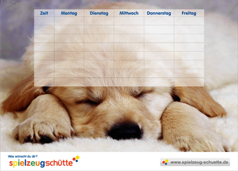 Stundenplan Ausdrucken Cool